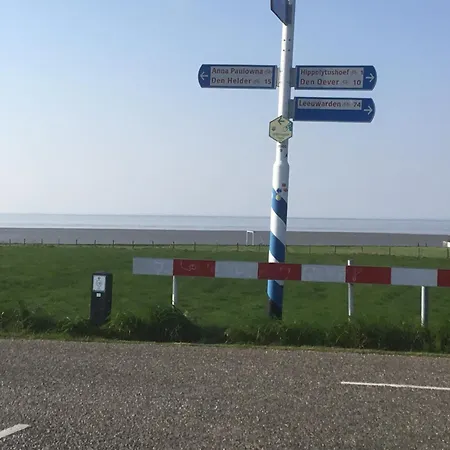 Prachtig Merel *