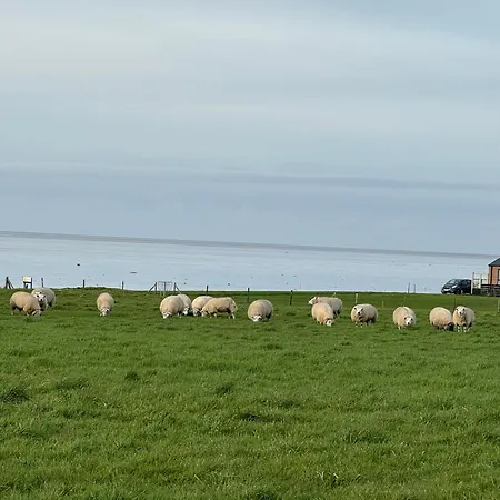 Prachtig Merel Kemp *