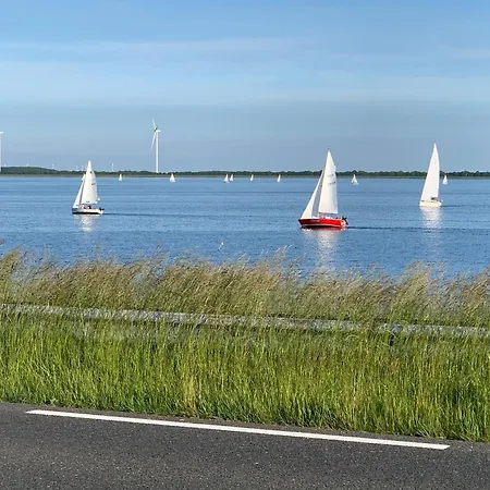 Prachtig Merel * Westerland