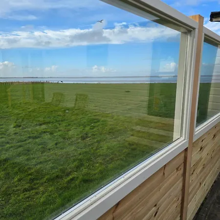 Kemp Prachtig Merel *