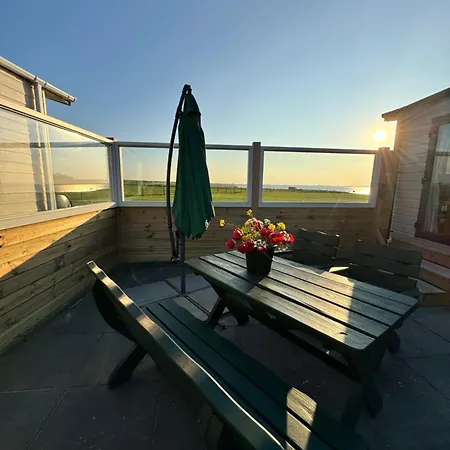 Kemp Prachtig Merel *