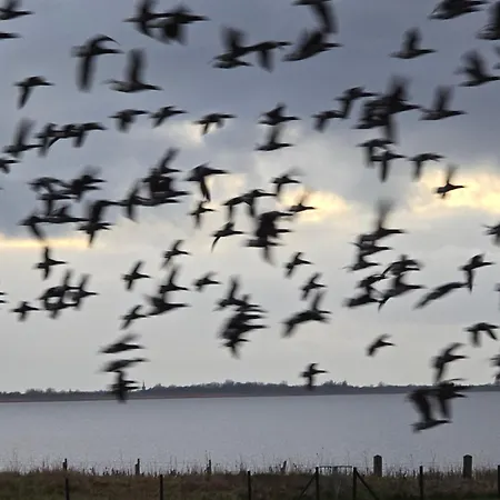 Prachtig Merel Westerland